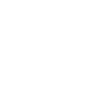 Wheelchair Icon